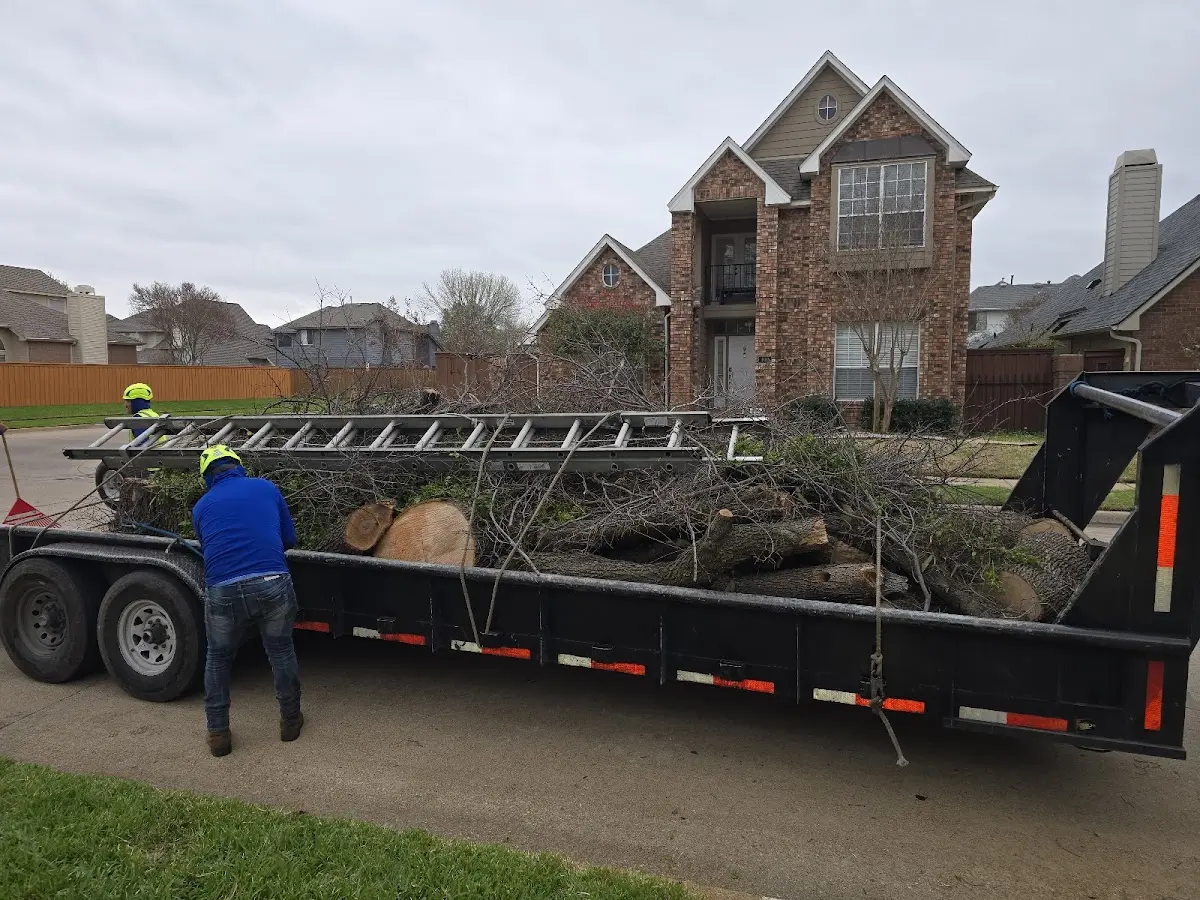 Expert Crown Reduction with proper safety equipment in Long Lake